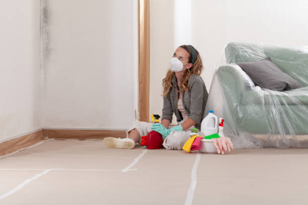 Reliable Mold Inspection contractor in Union, MI by WQB Mold Removal